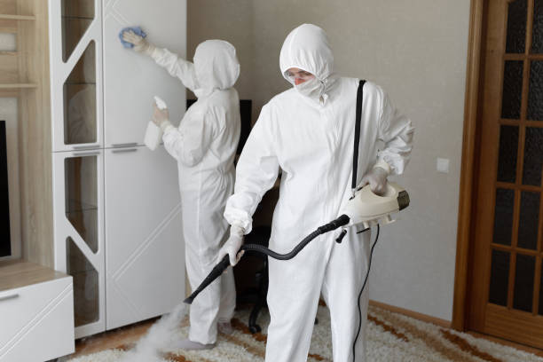 Best Mold Removal and Inspection  in Edgewood, MD